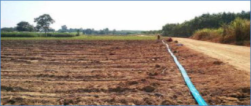 Drip irrigation project for sugarcane planting in Thailand (2)